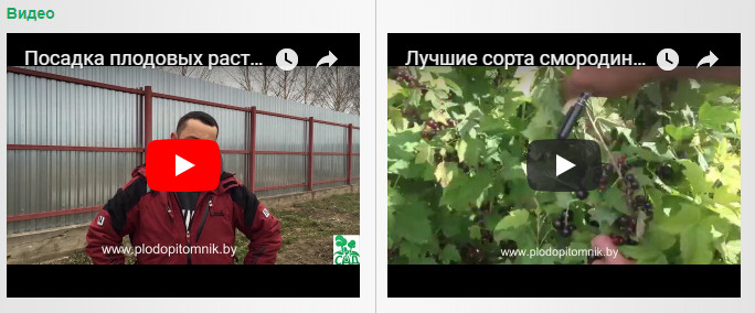 Скрин полезных видео со страницы plodopitomnik.by