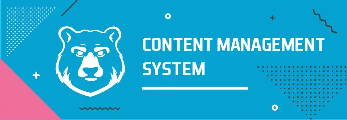 Какую CMS выбрать: обзор лучших движков для создания сайта от веб-разработчика
