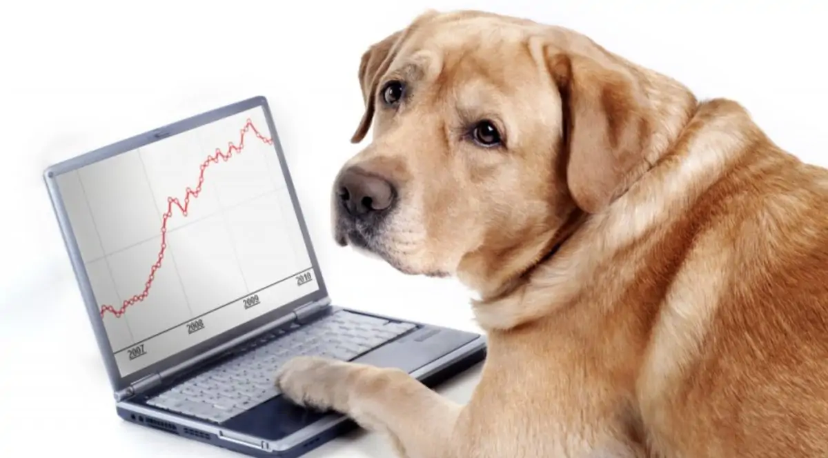 6 признаков хорошего SEO-отчета или как распознать недобросовестного подрядчика